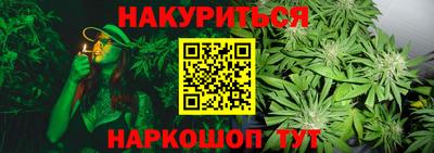прущие грибы Изобильный