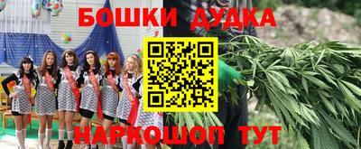 прущие грибы Изобильный