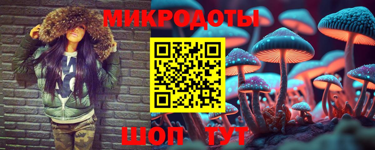 Псилоцибиновые грибы ЛСД Курчатов
